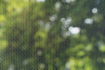 Bodenbeläge Ballerstädt in Horst Raumausstattung Insektenschutz